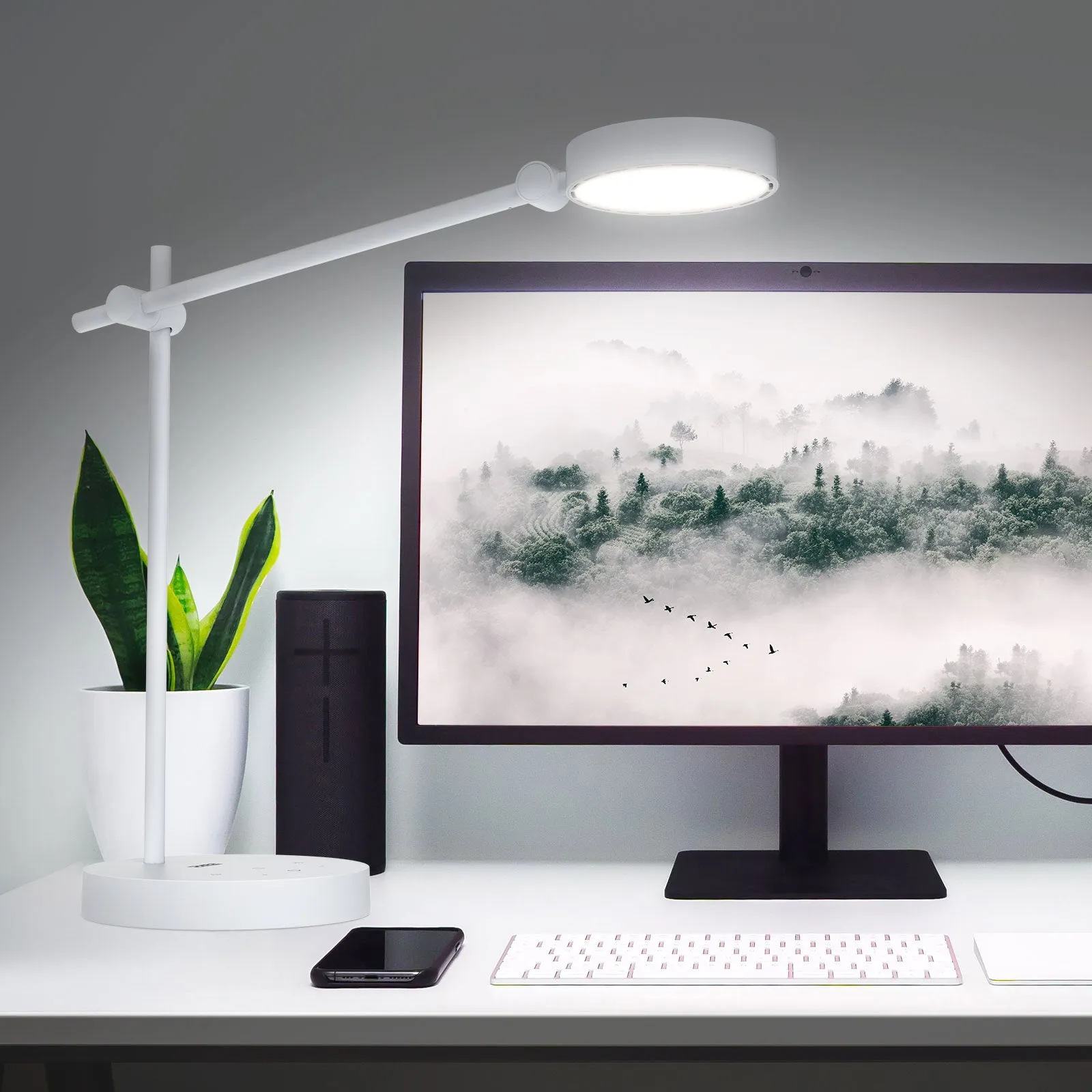 10W LED Desk Lamp (US/EU ONLY)