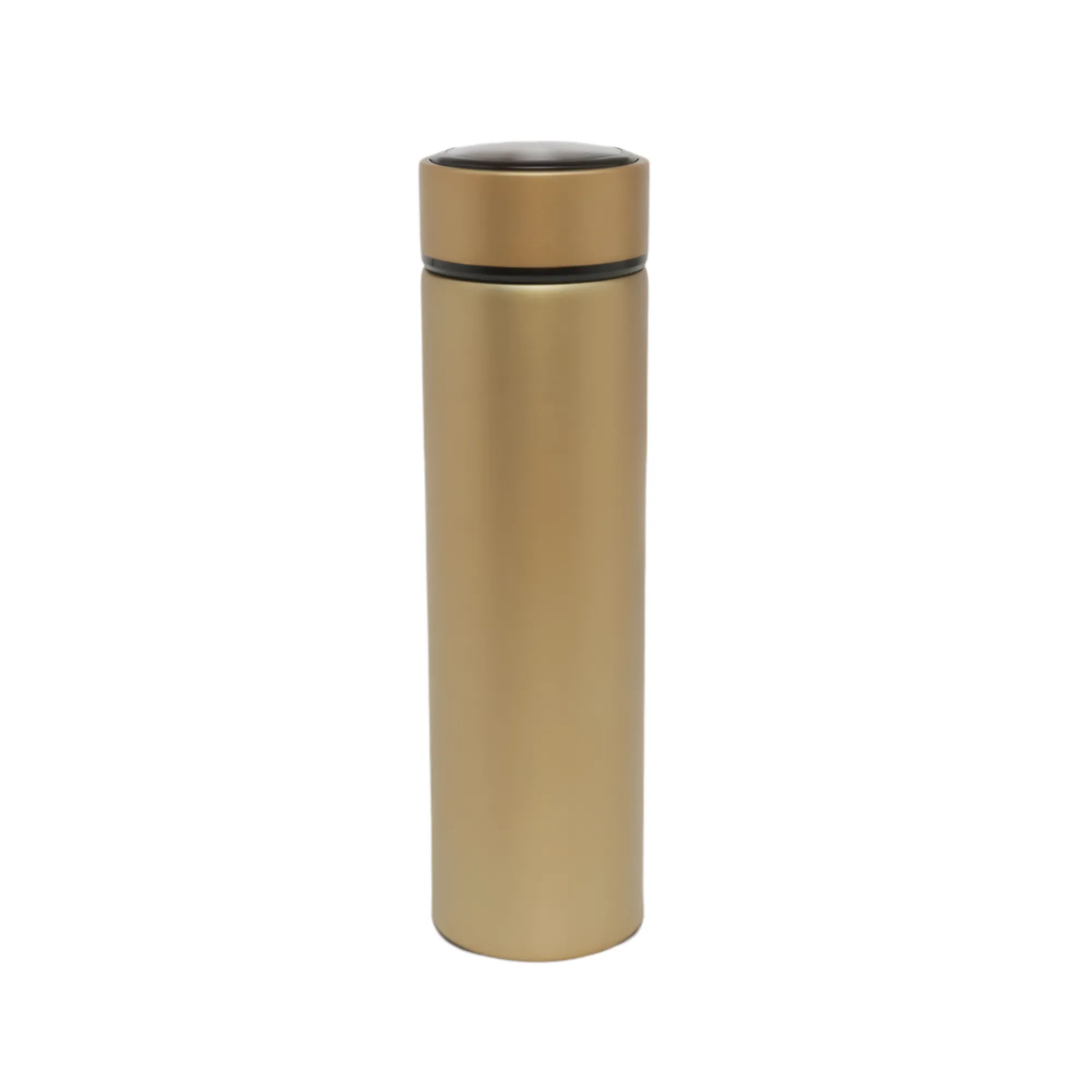 500ml Stainless Steel Coffee Bottle with LED Temperature Display IF-26