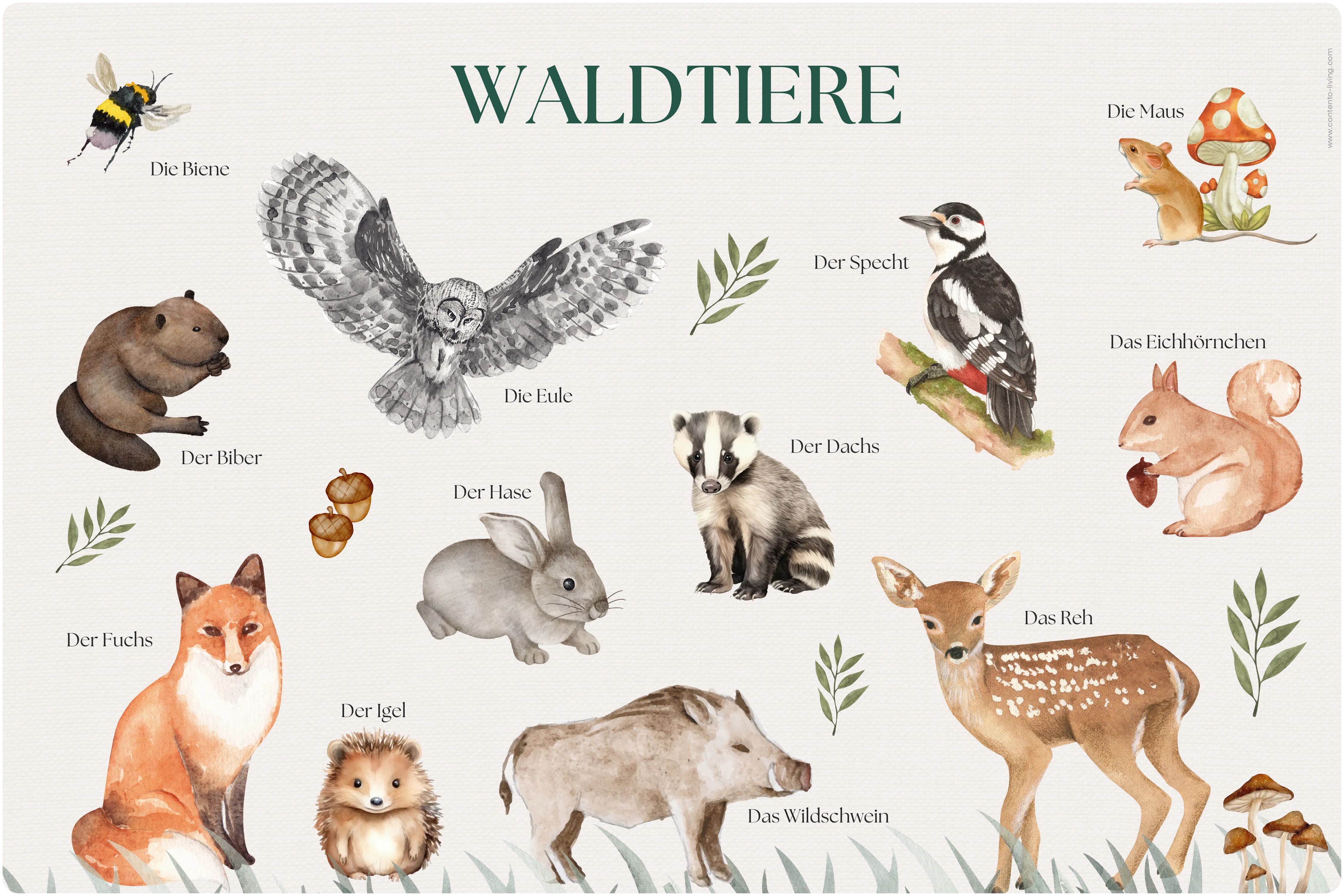 Kids Desk Mat 60cm x 40cm - Wildlife