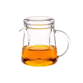 Personal Teapot with Glass Filter