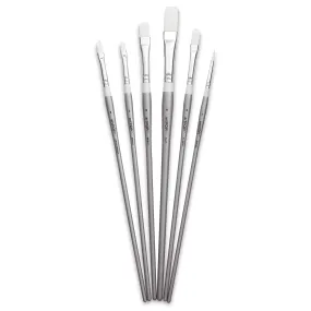 Premium Plus Synthetic Acrylic & Oil Brush Set of 6