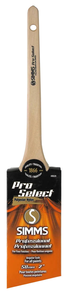 Pro Select Paint Brush Angular, 50mm