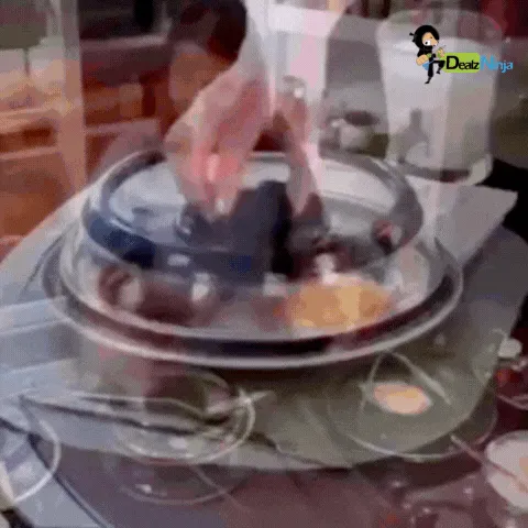 Vacuum Food Sealer