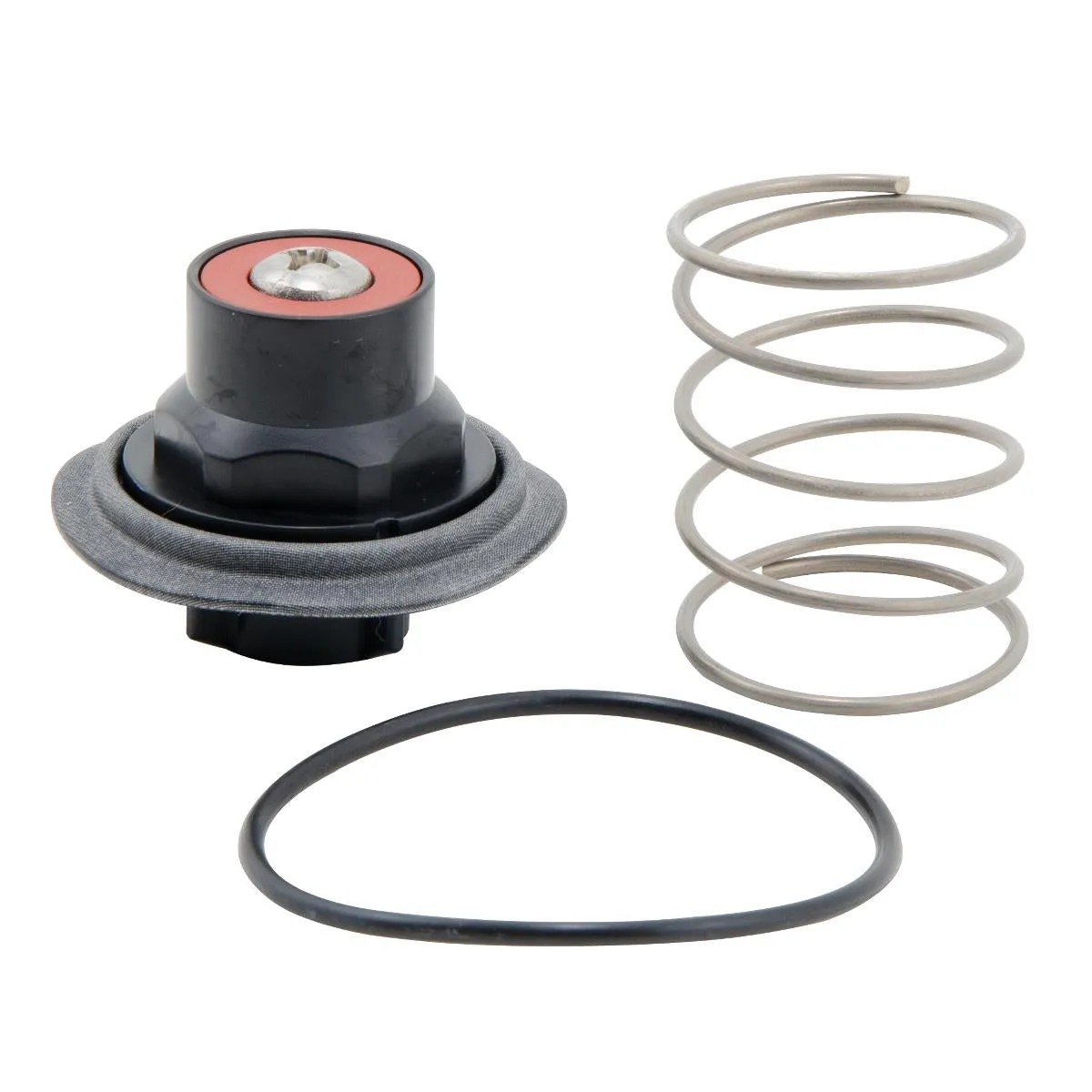 Watts RK 919-VT 1/4-1/2 1/4 And 1/2 In Reduced Pressure Zone Vent Total Repair Kit